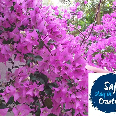 Sandra Hvar Apartment *