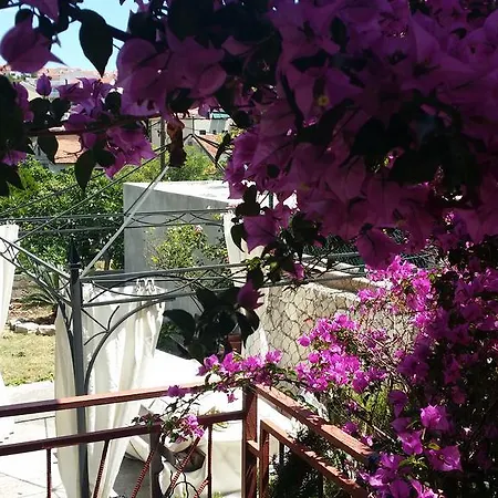 Apartment Sandra Hvar