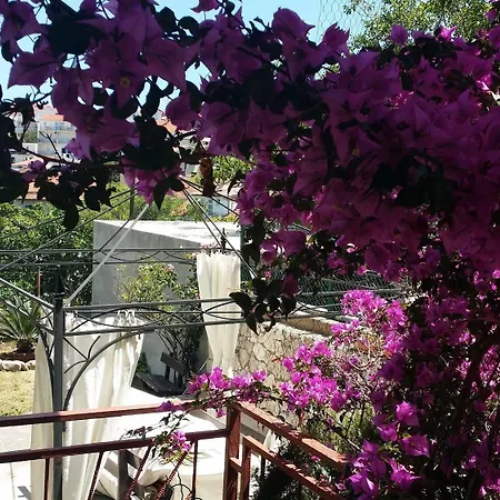 Sandra Hvar Apartment *