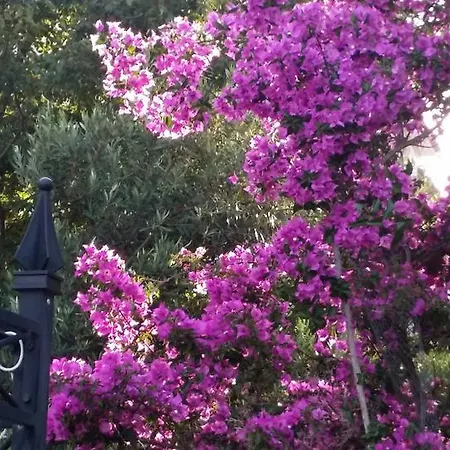 Appartement Sandra Hvar Hvar Town