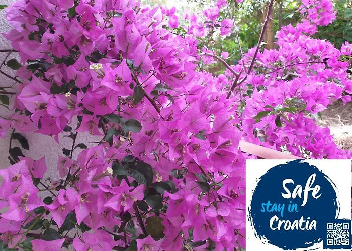 Sandra Hvar Lägenhet *