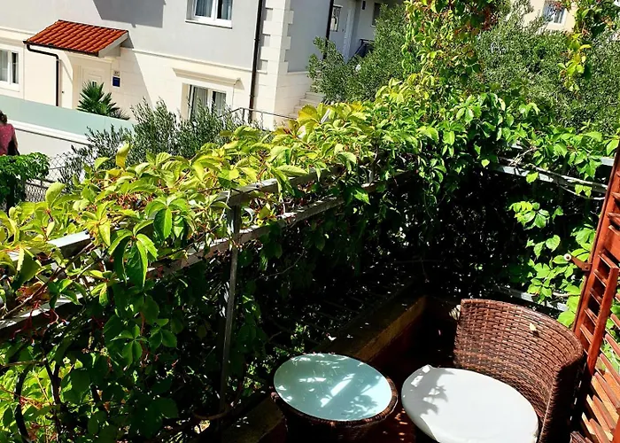 Sandra Hvar هفار