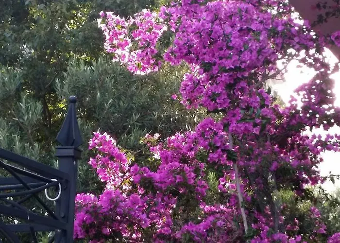 Lägenhet Sandra Hvar Hvar Town