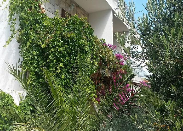 Apartament Sandra Hvar